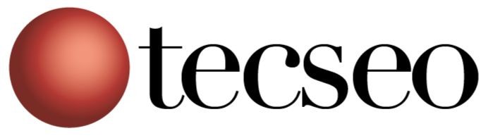 Formazione Tecseo